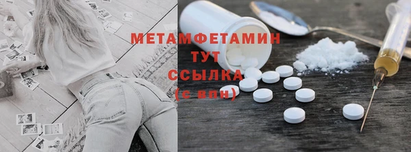 прущие грибы Верхний Тагил
