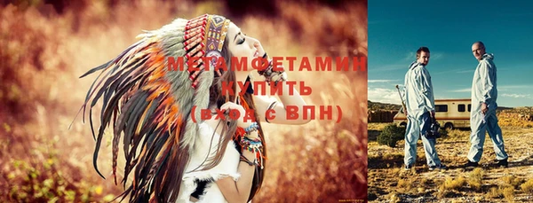 прущие грибы Верхний Тагил
