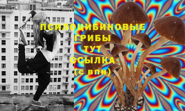 соль ск Верхнеуральск