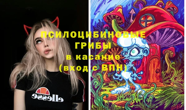 соль ск Верхнеуральск