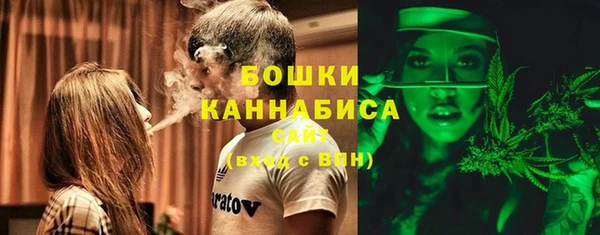прущие грибы Верхний Тагил